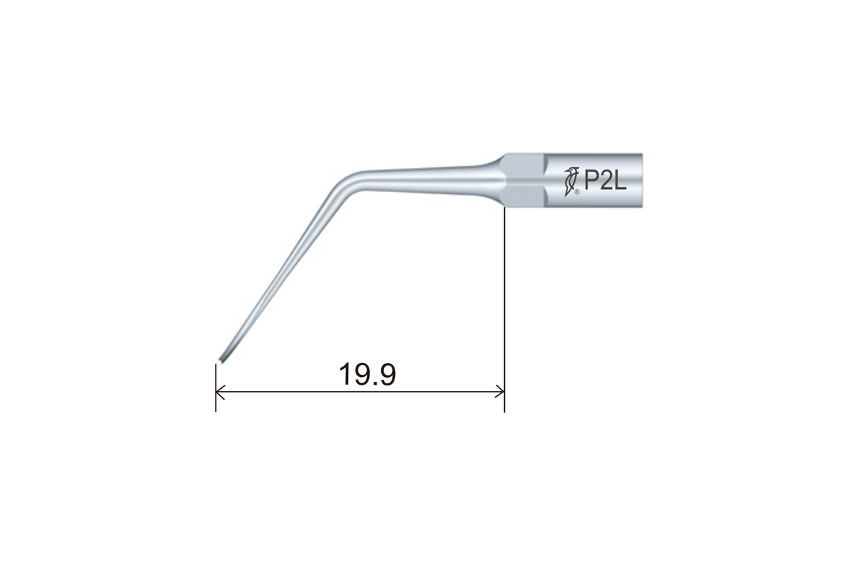 PA P2L