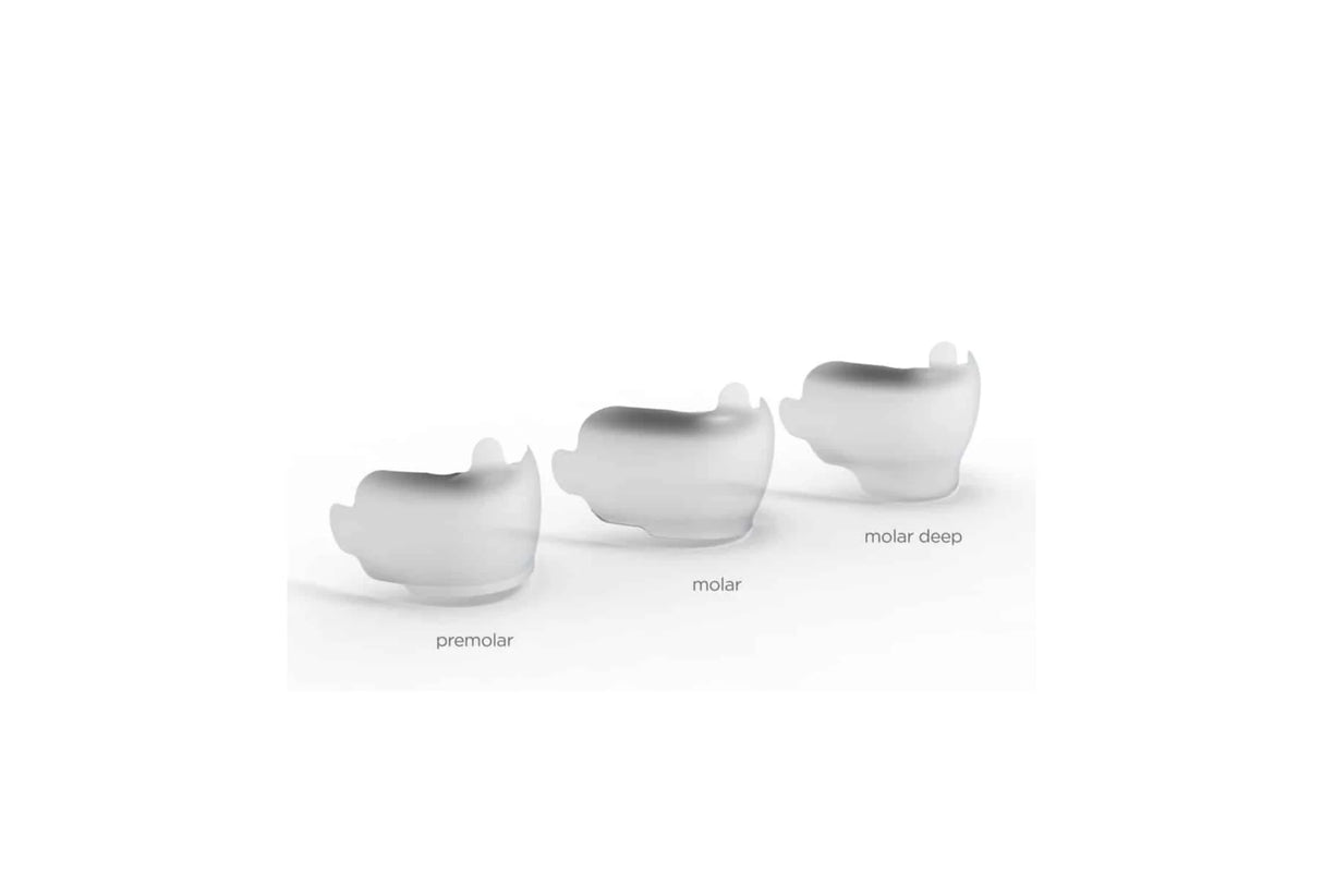 QuickmatFIT, anatomiske sektion matricer